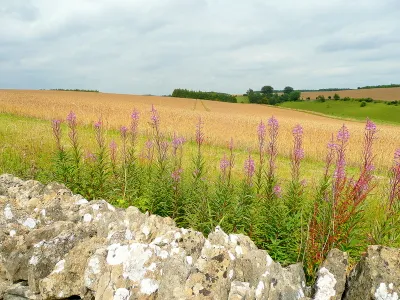 Ablington Downs