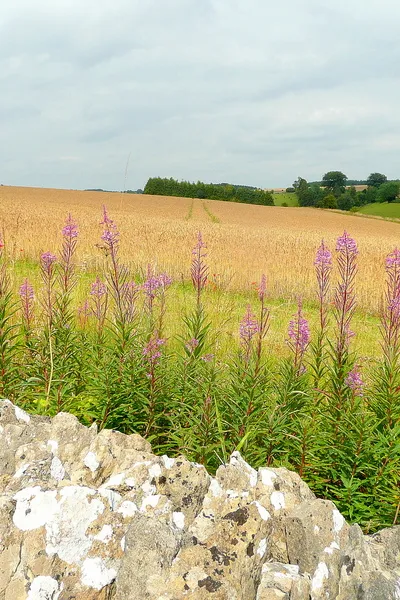 Ablington Downs