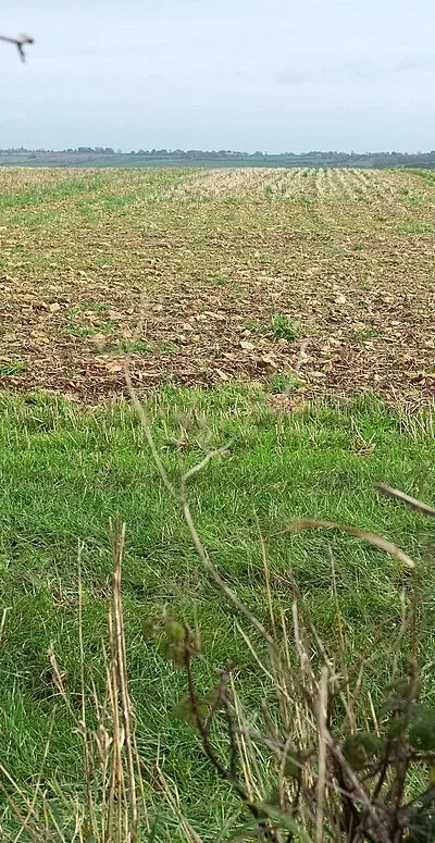 Arable field near South Hill House