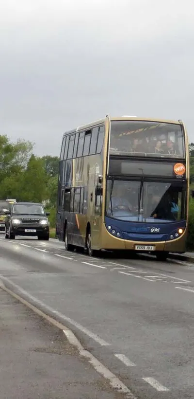 Bus stops on Oxford Road