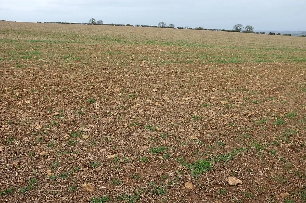 Arable field near South Hill House