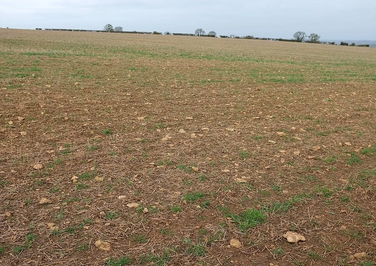 Arable field near South Hill House