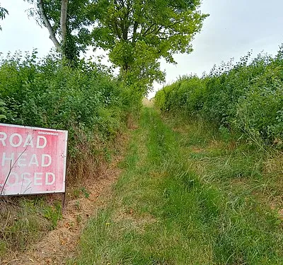 Letcombe Bassett bridleway