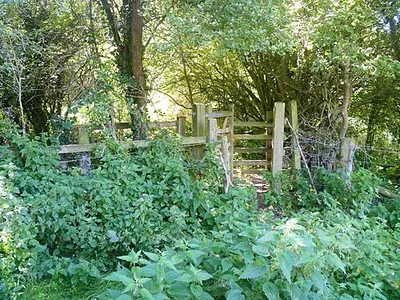 A circular walk around Cricklade [63]