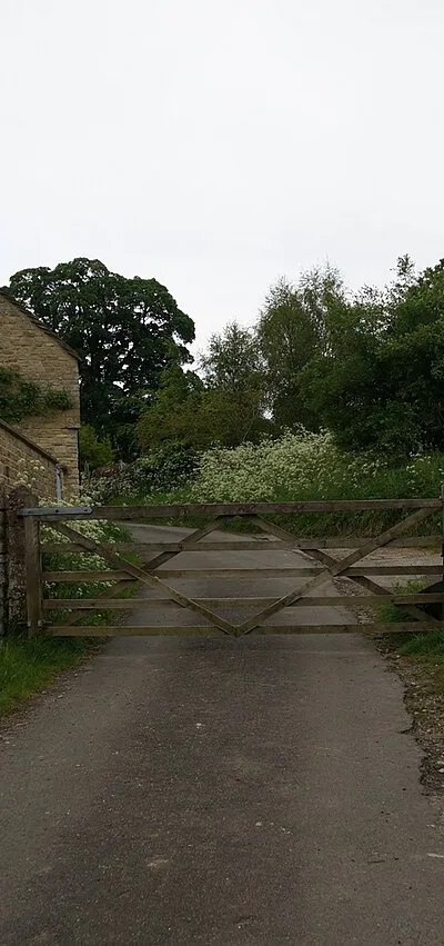 Cattle grid at Farmington