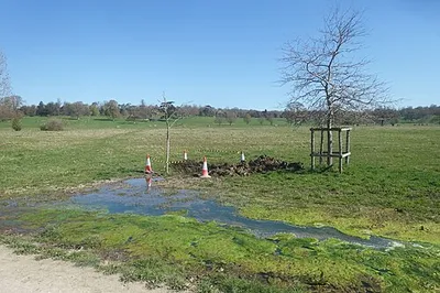 An Unofficial Stream
