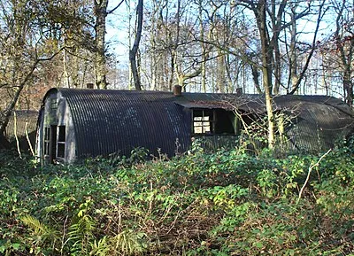 Another Hut in the Woods
