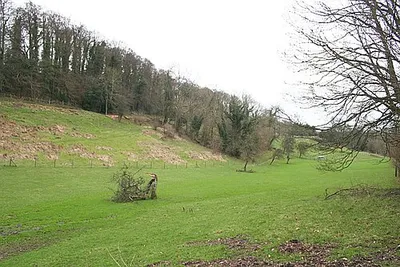 Hyde's bottom A dry valley near the road to Bourne's Green. On the ridge above is the site of a Roman Villa.