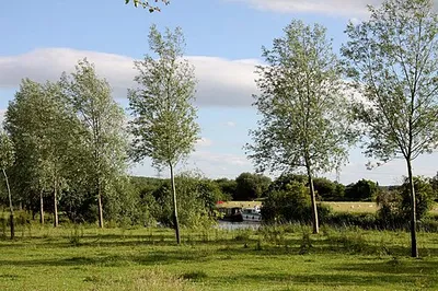 A water meadow by the River Thames