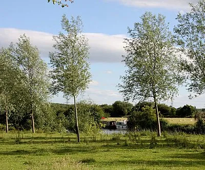 A water meadow by the River Thames