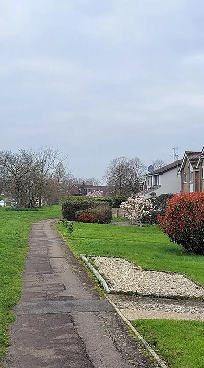 Along Heron Way