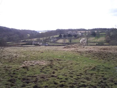 Caudle Green. Viewed from the north.