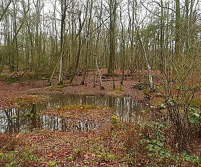 Behind the toilet block