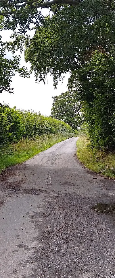Dark Lane