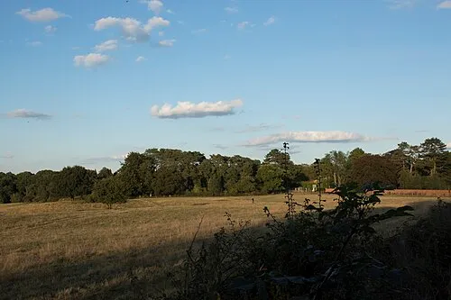 Badger's Wood seen from Berkeley Road