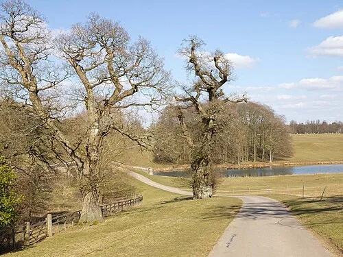 Blenheim Community Path