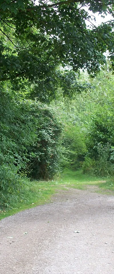 Footpath straight on