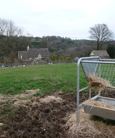 Cotswold smallholding. This cottage has ducks and chickens plus an interesting dovecote above the garage.