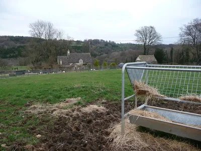 Cotswold smallholding. This cottage has ducks and chickens plus an interesting dovecote above the garage.