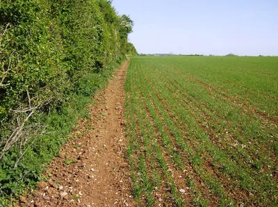 Bridleway from Duntisbourne Rouse to Woodmancote There is a good continuous bridleway from Duntisbourne Rouse to Woodmancote. Here it is rather narrow as crops have been planted up to the field edge. The route is shared by the Macmillan Way.