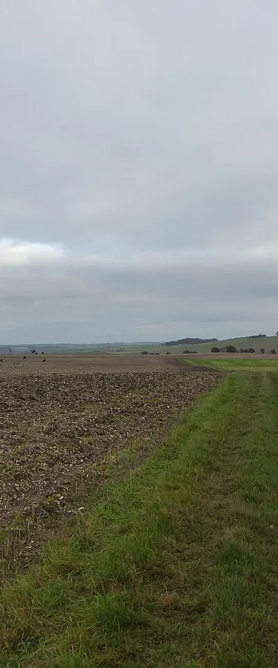 Farm track to Russley Park