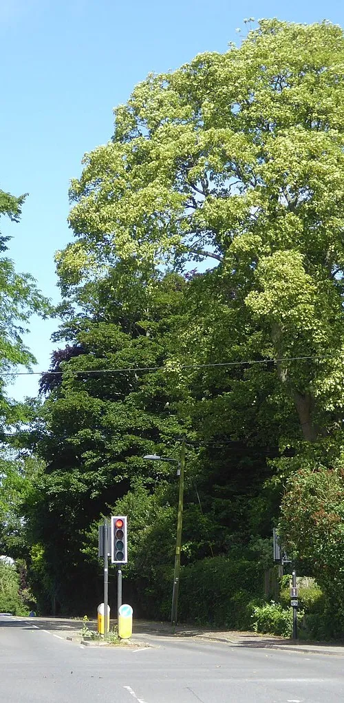 Woolley Green