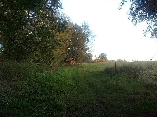 Along a bridle path