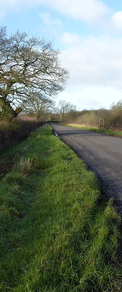 Country lane near Minety