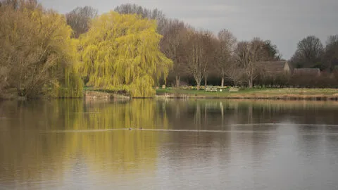 Roundhouse Lake