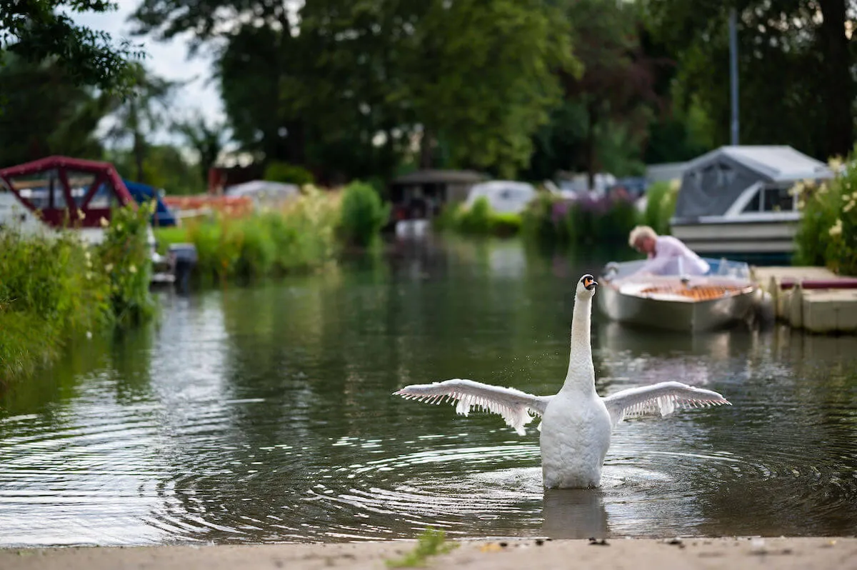 Lechlade Marina
