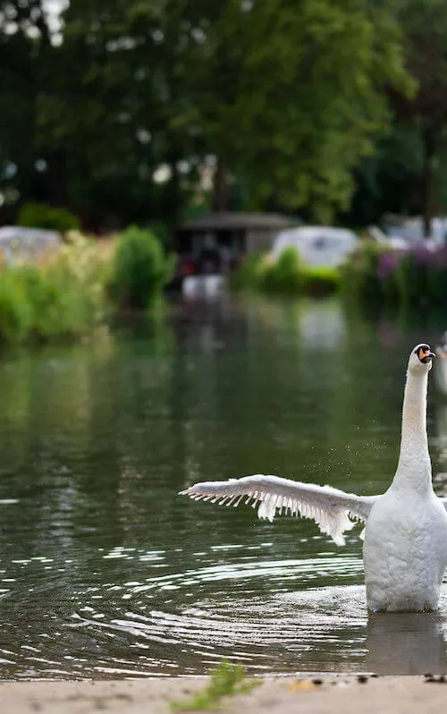 Lechlade Marina