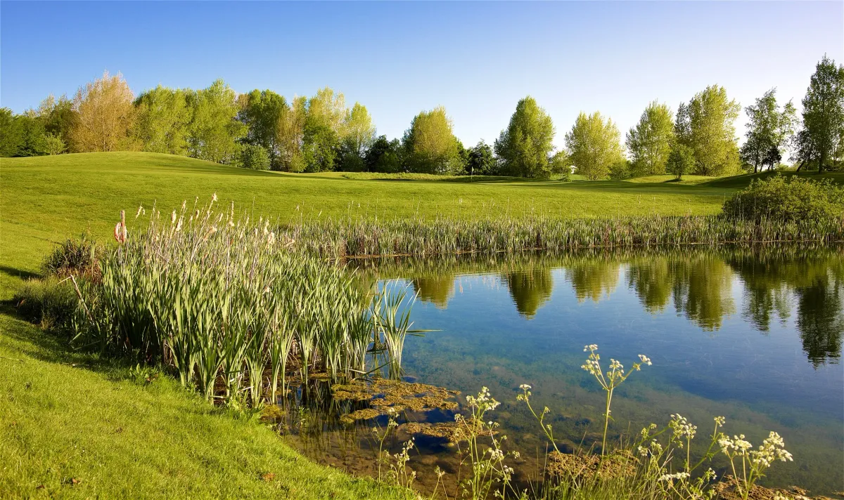 Cumberwell Park