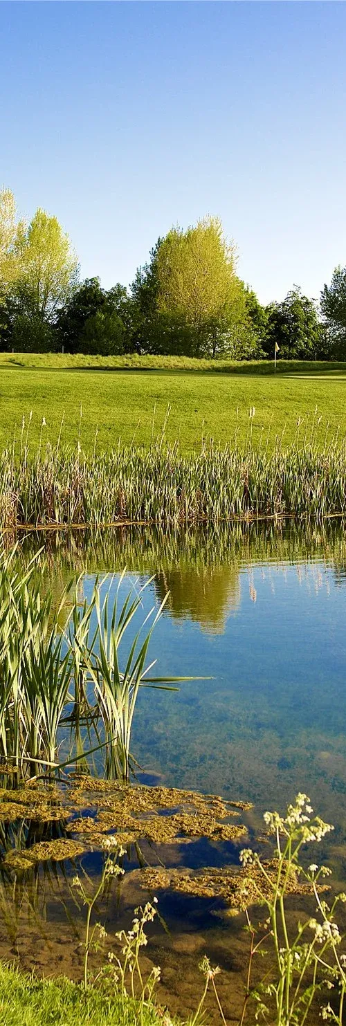 Cumberwell Park