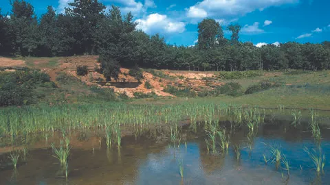 Hitchcopse Pit