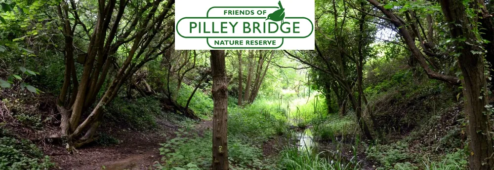 Pilley Bridge Nature Reserve