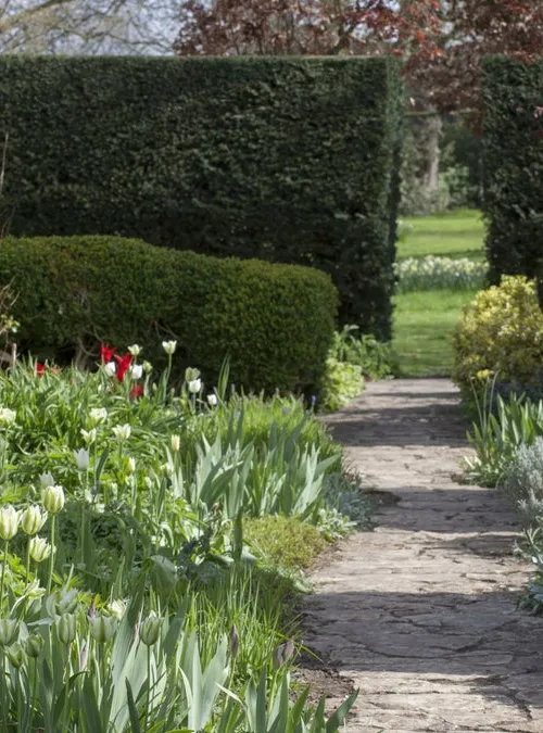 The Courts Garden