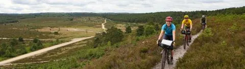 King Alfred's Way
