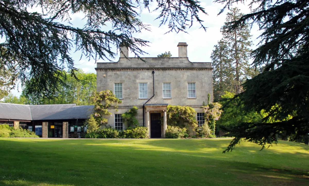 The Museum in the Park
