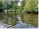 Cumnor Hurst Community Woodland